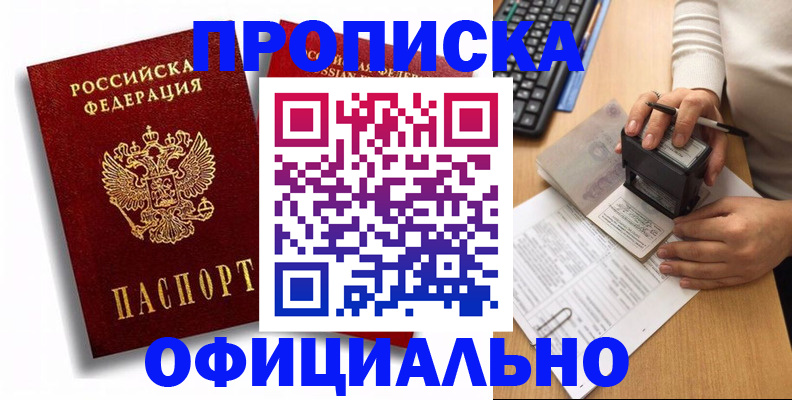 прописка в квартире в Тайге